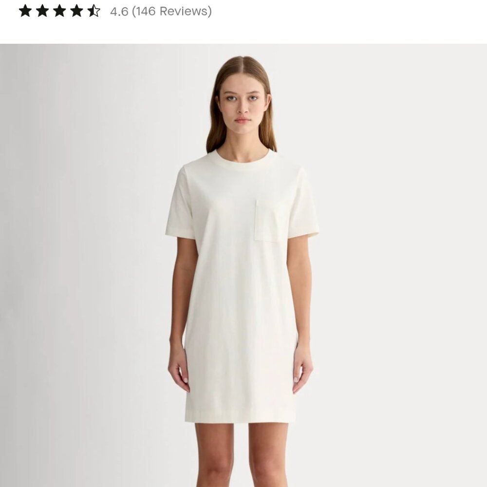 Everlane organic cotton tee dress